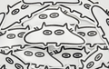"Blobkatze" Katzen Sticker