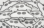 "Blobkatze" Katzen Sticker